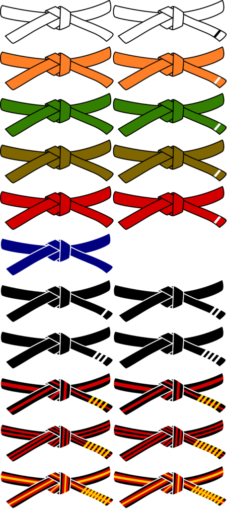 taekwondo-belt-colours-and-meanings-yolando-atkinson